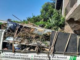 Best Commercial Junk Removal  in Solomon, KS